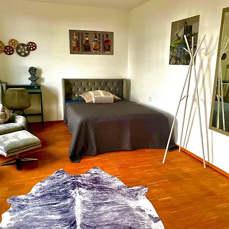 Apartmán Business In Citypark Karlsruhe