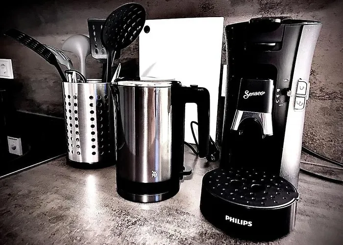 公寓 Business In Citypark 卡尔斯鲁厄